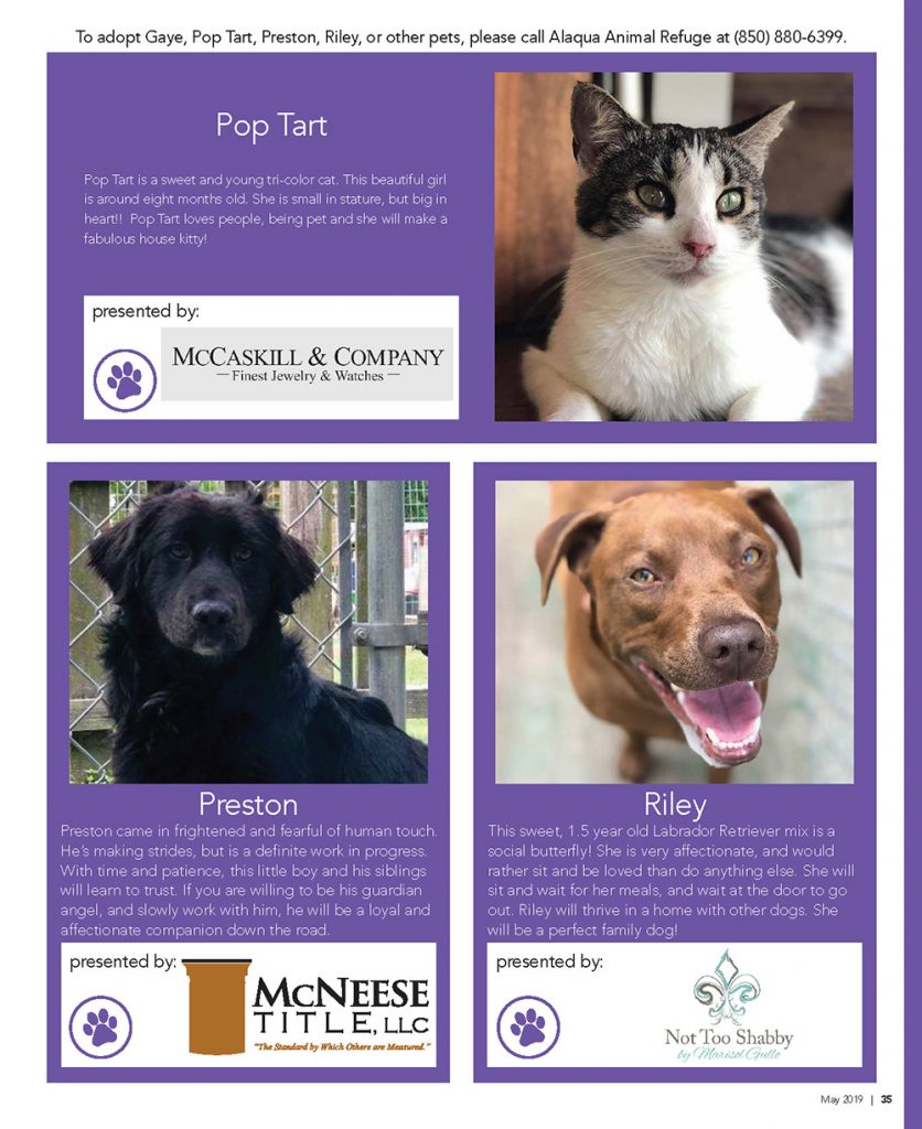 Sponsored Pets VIP Destin Magazine
