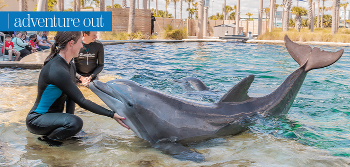 Adventure Out – Gulfarium Marine Adventure Park