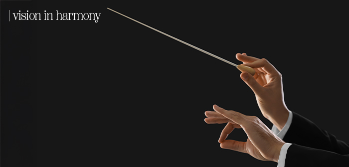 Vision in Harmony